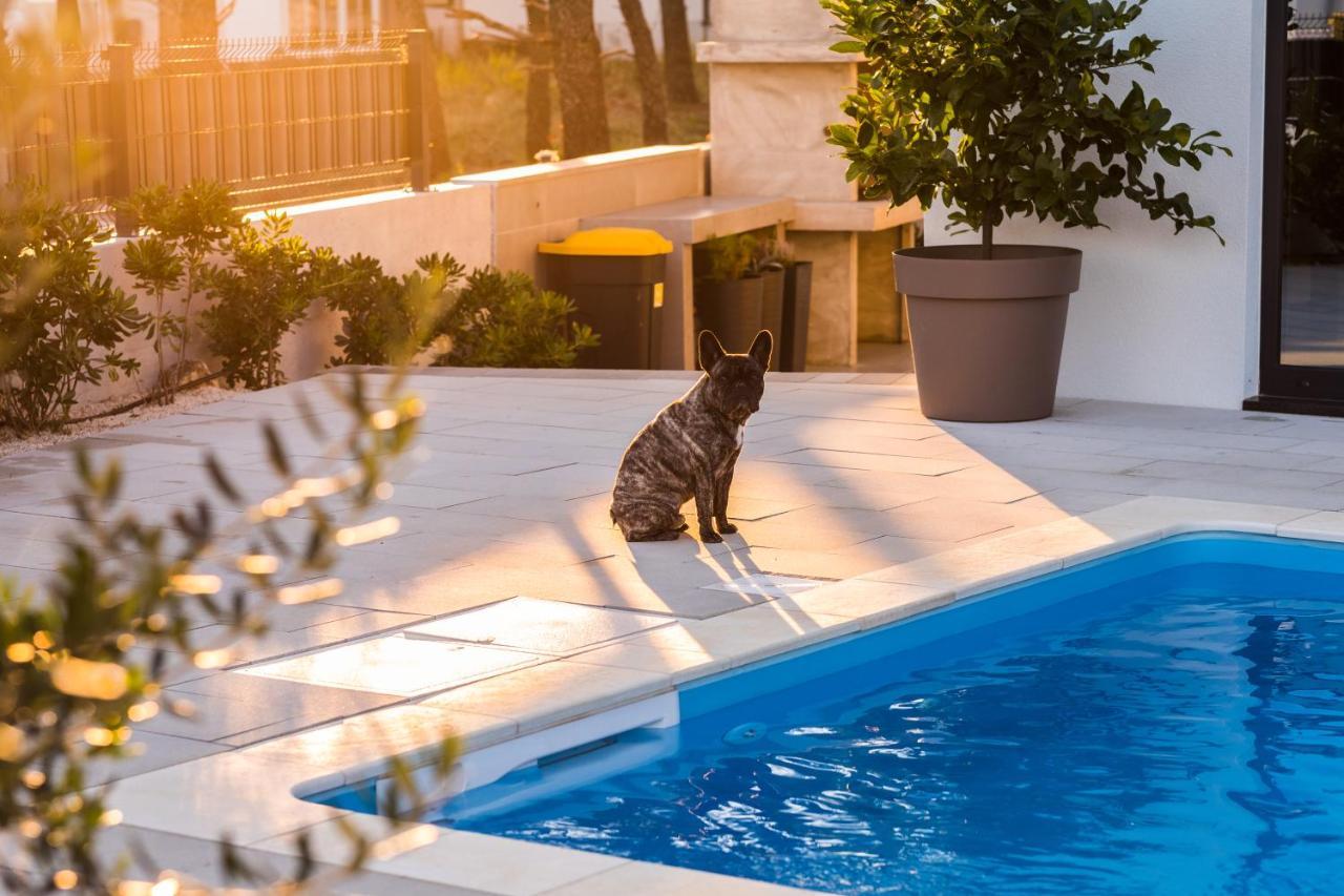 Olive Tree Mansion Apartment Vir Luaran gambar